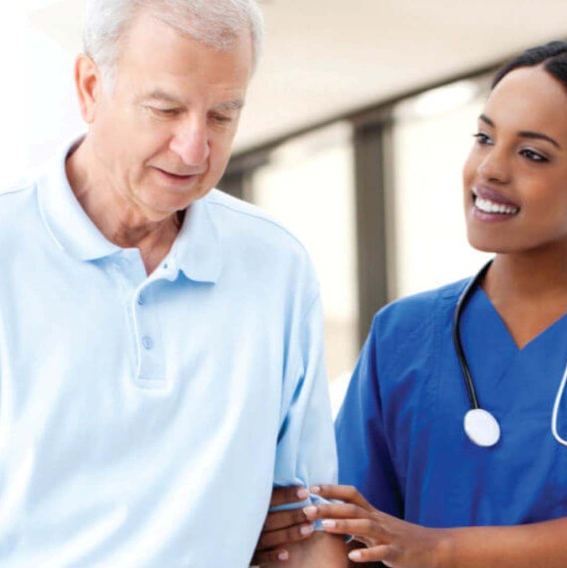 Home Maple Tree Employment